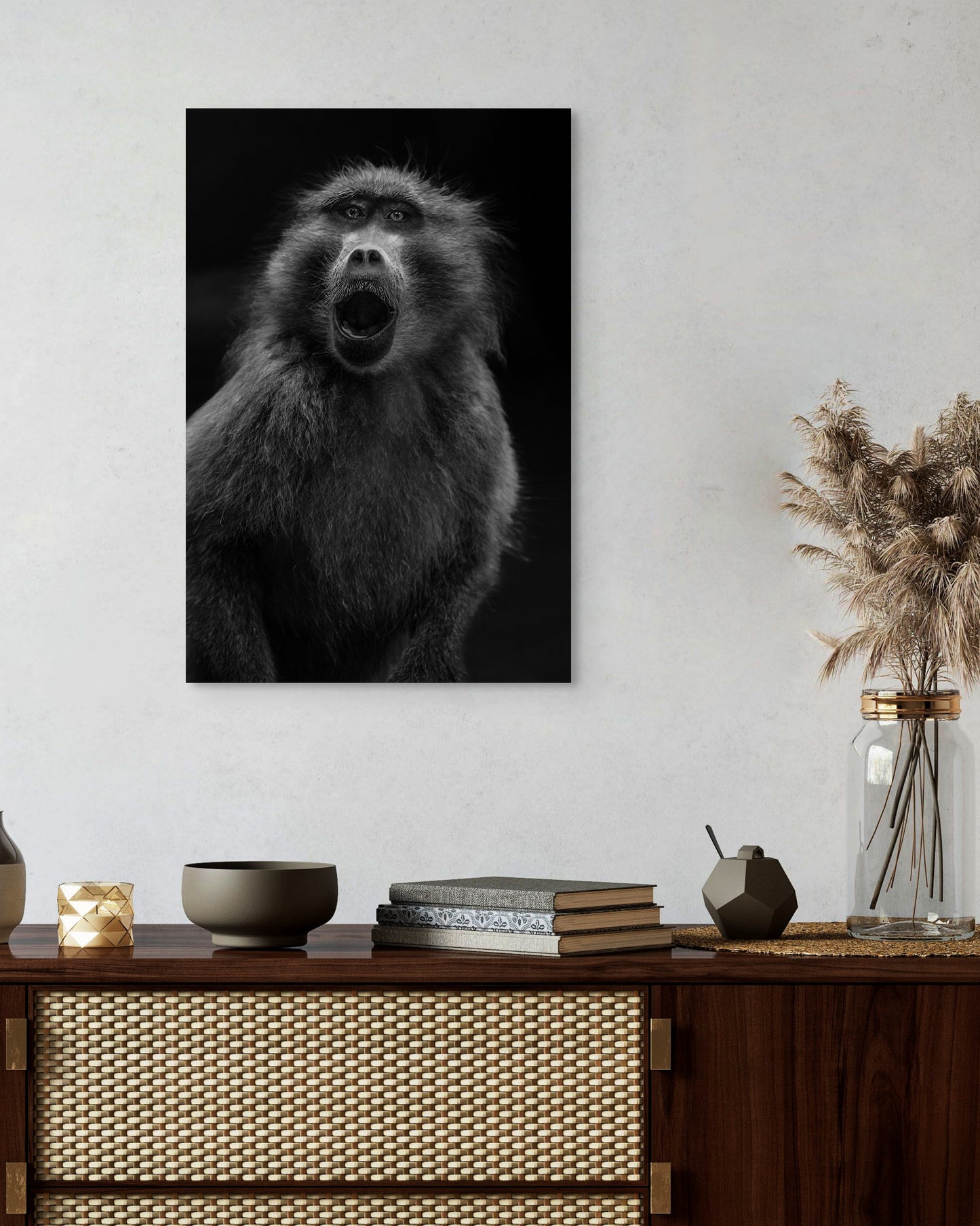 SURPRISED BABOON