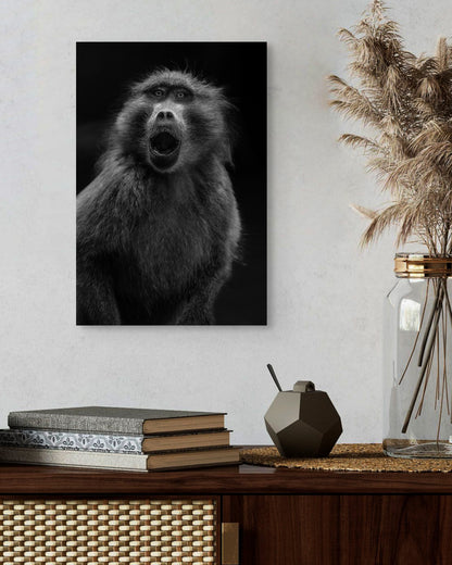 SURPRISED BABOON